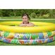 Детский надувной бассейн Bestway 51203 (168x38 см) Цветочный рай ap18205 фото 4