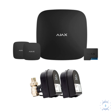 Ajax Hub 2 + LeaksProtect (2 ед.) + WallSwitch + кран с электроприводом Honeywell 220 DUO Ду32 ajax006444  фото