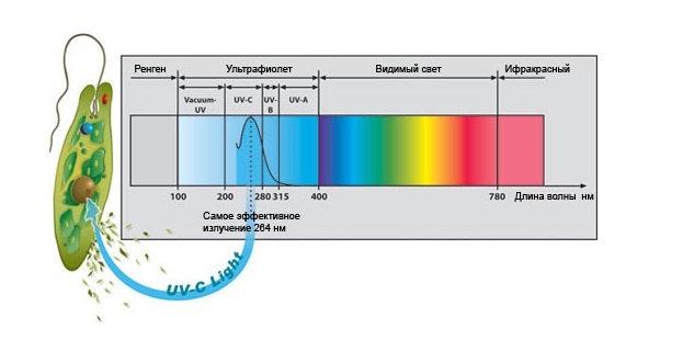 Біологічна дія ультрафіолетового випромінювання - спектри