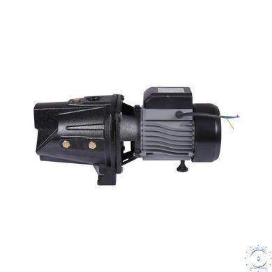 Насос самовсасывающий центробежный Thermo Alliance D-JSWm-20M 1,5 кВт SD00046821 фото