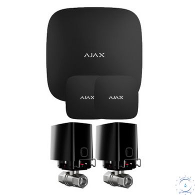 Комплект сигнализации Ajax с 2 кранами WaterStop 3/4" Ajax Hub2 + LeaksProtect 2шт Черный ajax006107 фото