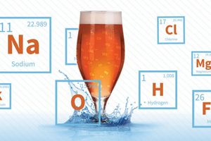 Химический состав и качество пива, коллоидный состав пива фото