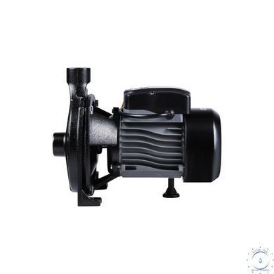 Насос поверхневий відцентровий Thermo Alliance CPm145/1 0,55 кВт SD00046827 фото