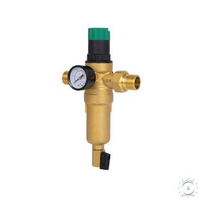 Фільтр самопромивний Thermo Alliance Forte 3/4" з редуктором для горячої води SF128W20H SD00054156 фото