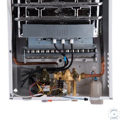 Колонка газовая дымоходная Thermo Alliance JSD20-10CLM 10 л White SD00052637 фото