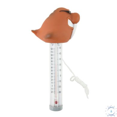Термометр іграшка Kokido K725DIS/6P Морж ap2135 фото