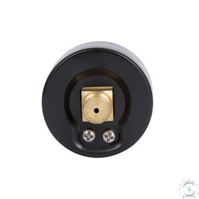 Манометр Thermo Alliance Standart 6 бар 1/4" , заднее подключение SD1716B SD00021359 фото
