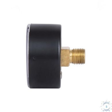 Манометр Thermo Alliance Standart 6 бар 1/4" , заднее подключение SD1716B SD00021359 фото