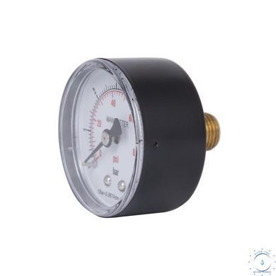Манометр Thermo Alliance Standart 6 бар 1/4" , заднее подключение SD1716B SD00021359 фото