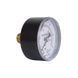 Манометр Thermo Alliance Standart 6 бар 1/4" , заднее подключение SD1716B SD00021359 фото 4