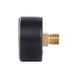 Манометр Thermo Alliance Standart 6 бар 1/4" , заднее подключение SD1716B SD00021359 фото 6