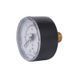 Манометр Thermo Alliance Standart 6 бар 1/4" , заднее подключение SD1716B SD00021359 фото 3