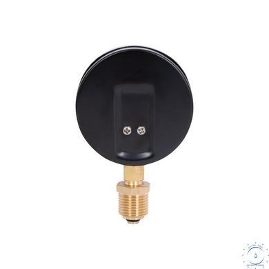 Термоманометр Thermo Alliance Standart 80 мм 1/2", нижнє підмикання SD1726B SD00021361 фото