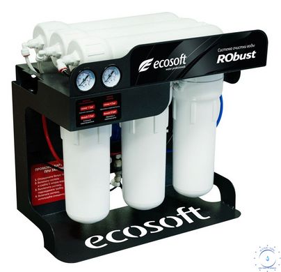 Фільтр зворотного осмосу Ecosoft Robust 1000 1