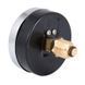 Термоманометр Thermo Alliance Standart 80 мм 1/2", заднее подключение SD1734B SD00021363 фото 4