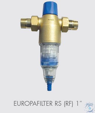 BWT EUROPAFILTER RS (RF) 1 1/2" - сетчатый фильтр 11233 фото