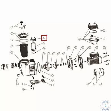 Соединительная муфта насоса Hayward RS II 25899 фото