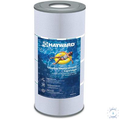 Картридж Hayward CX200XRE для фільтрів Swim Clear C200SE ap6205 фото