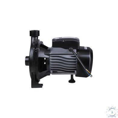 Насос поверхностный центробежный Thermo Alliance CPm158/1 0,75 кВт SD00046828 фото