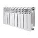Радіатор біметалічний Thermo Alliance Bi-Ferrum 300/100 1,15 кг SD00052841 фото 1