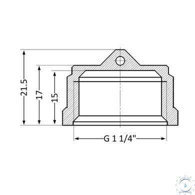 Заглушка Thermo Alliance Standart 1&nbsp;1/4" ВР SD40232 SD00047800 фото