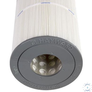 Картридж змінний Hayward CX580XRE для фільтрів Swim Clear C3030EURO ap5186 фото