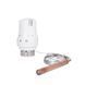 Термоголовка Thermo Alliance Standart М30х1,5 (20-50℃) з виносним датчиком TAS34150 SD00053537 фото 1