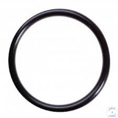 Уплотнительное кольцо Clack (O-ring 226) V3441 фото