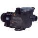 Насос Hayward Tristar SP32303 (380 В, 32.5 м3/ч, 3 HP) 16175 фото 1