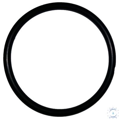 Уплотнительное кольцо Clack (O-ring 228) V3135 фото