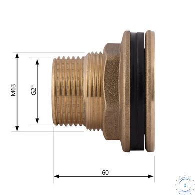 Врізка Thermo Alliance Standart 2" в бак SD40050 SD00047792 фото