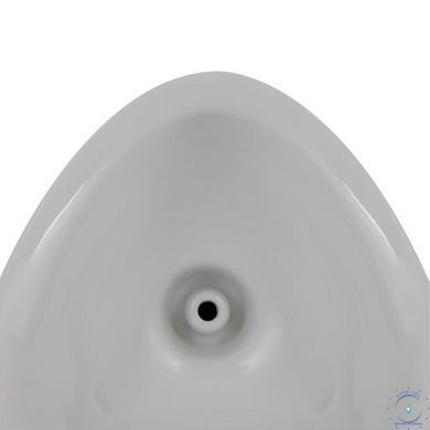 Писсуар подвесной Qtap Crow с краном-дозатором 360x285x675 White QT0588112HW SD00045970 фото