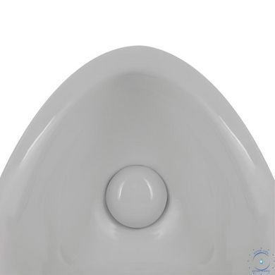 Писсуар подвесной Qtap Crow с краном-дозатором 360x285x675 White QT0588112HW SD00045970 фото