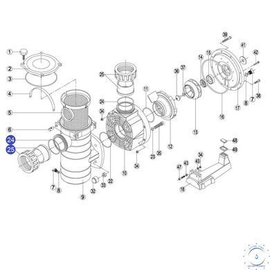 Муфта насоса Kripsol КА/КАР RKA250.A/RBH0015.00R (RPUM2425.01R) 2113 фото