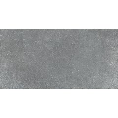 Плитка для бассейна Aquaviva Granito Gray, 298x598x9.2 мм ap6424 фото