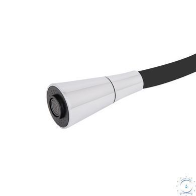 Змішувач для кухні Lidz Tani 008F3 з гнучким виливом (k40) LDTAN008F3BCR39484 Chrome/Black SD00045588 фото