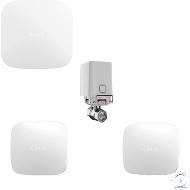Комплект сигнализации Ajax с 1 краном WaterStop 1/2" Ajax Hub2 + LeaksProtect 2шт Белый ajax006100 фото